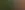 Placeholder for the image