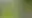 Placeholder for the image