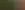 Placeholder for the image
